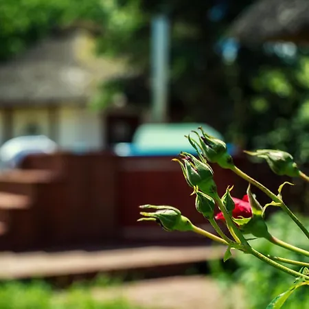 Lägenhet Dworek Krola Stanislawa - Chabrowy